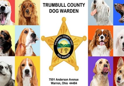 Trumbull County dog pound poster